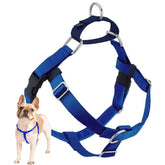 Arnés Freedom de 2 Hounds Design para paseos suaves y sin tirones