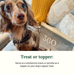 360 Pet Nutrition: textura cercana del hígado liofilizado, snack sabroso y alto en proteína.
