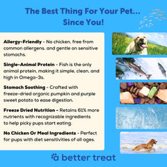 A Better Treat trozos de salmón secos, fuente de Omega-3 para pelaje