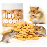 Abizoo hamster-tratamientos-crujientes-zanahoria, snack entrenable para dientes sanos y digestión.