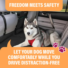 Active Pets, installation rapide, fixation simple pour une sécurité accrue en voiture.