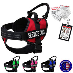 ActiveDogs arnés servicio perro activo, cómodo y duradero para uso diario.
