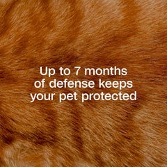ADAMS Plus collar con liberación prolongada mantiene ingredientes activos en pelaje y piel.