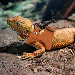 CORREA ADOGGYGO para dragón barbudo marrón, ajuste simple para caminatas diarias