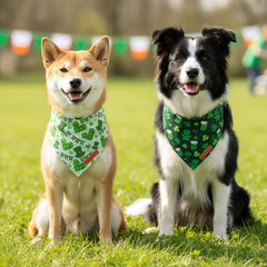 Bandana ADOGGYGO para perro con sombrero verde, perfecto para eventos temáticos y paseos.