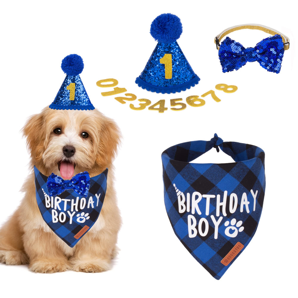 Sombrero ADOGGYGO para cumpleaños de perro, ideal para fotos festivas.