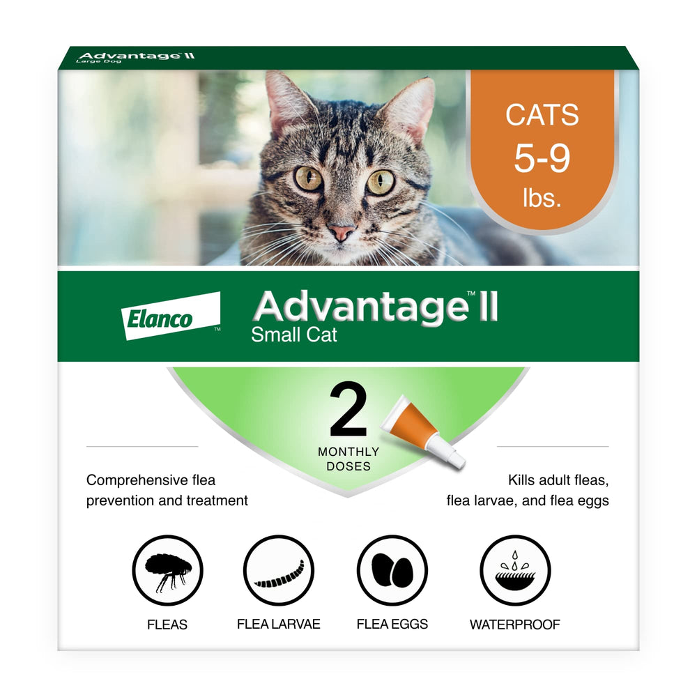 Advantage II Gato Pequeño: aplicación en nuca para protección rápida contra pulgas.