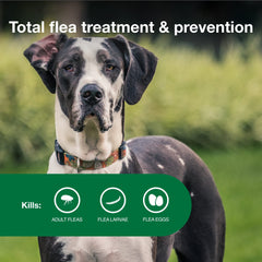 Advantage II XL mata pulgas en 12 horas para perros grandes.