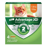 Advantage XD en gato pequeno durante la aplicacion en nuca para proteccion contra pulgas