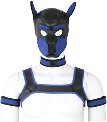 Aendu capucha perro neopreno azul, vista frontal para uso cómodo durante fiestas y disfraces