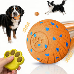 Affiuya bola interactiva con control remoto para perros, juego guiado en casa.