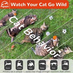 Agape juego de dos juguetes para gatos, ideal para horas de diversión