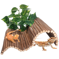 AGGQQA puente de madera para reptiles, ideal para dragón barbudo y geckos.