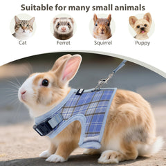 Aiitle arnés malla 3D transpirable, cómodo todo el día para mascotas pequeñas.