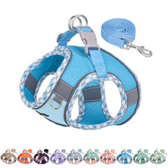 Aiitle arnés Teacup para cachorros azul, cómodo y seguro para paseos diarios.