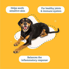 Alice & Eli Happy Skin mezcla herbal para alergias ambientales en perros.