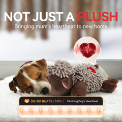 ALL FOR PAWS Heartbeat Toy muestra modo 8h-24h para sueño estable