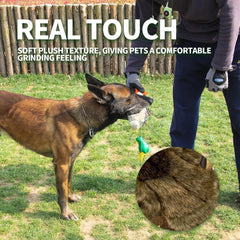 ALL FOR PAWS Juguete Pato Realista, ideal para juego interactivo entre tú y tu perro.