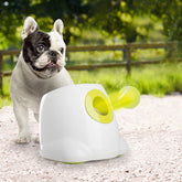 Lanzador ALL FOR PAWS en acción para perros pequeños, diversión interactiva.