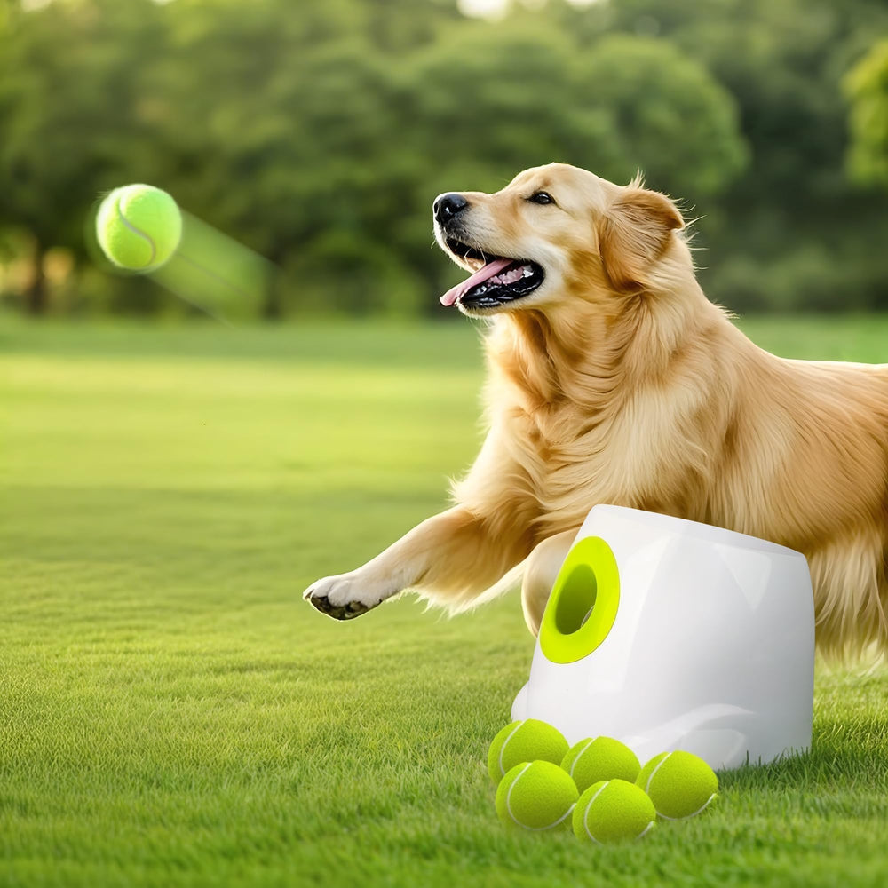 ALL FOR PAWS lanzador-bolas-perro-automatico: juego continuo para perros activos