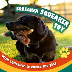 ALL FOR PAWS Pavo Real: juguete con sonido incorporado para juego dinámico.