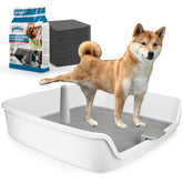 ALL FOR PAWS porta pads orina XL, vista frontal, ideal para entrenamiento en casa.