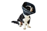 Cono All Four Paws Comfy Cone con interior negro reversible para calmar la recuperación.