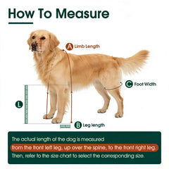 Allroaring Botas para Perro ofrecen tracción en superficies mojadas para caminar con confianza.
