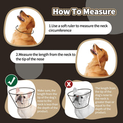 Allroaring collar-cono-ajustable-tallas-perros: ajuste seguro para varias tallas.