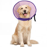 Allroaring collar cono para perro grande con ajuste seguro.