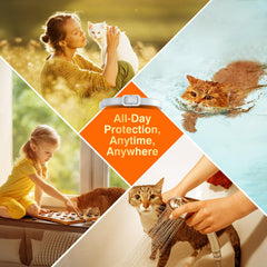 Protección duradera con collar Allyeah para felinos.