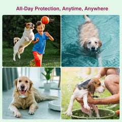 Collar Allyeah resistente al agua, perfecto para paseos bajo lluvia.