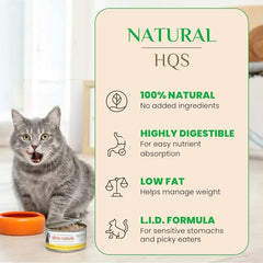 Gato disfrutando HQS Natural en caldo Atlántico, comida húmeda atractiva