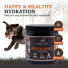 Alpha Dog Nutrition Resurgence: mezcla fácil en agua para rehidratar perros.