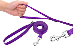 AMAGOOD gancho de collar de uso fácil que facilita asegurar al perro.