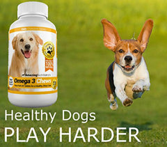 Omega 3 de Amazing Nutritionals para perros, pelo brillante y piel sana.