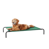 Cama Amazon Basics para perros elevada verde 51x31, descanso cómodo y amplio.