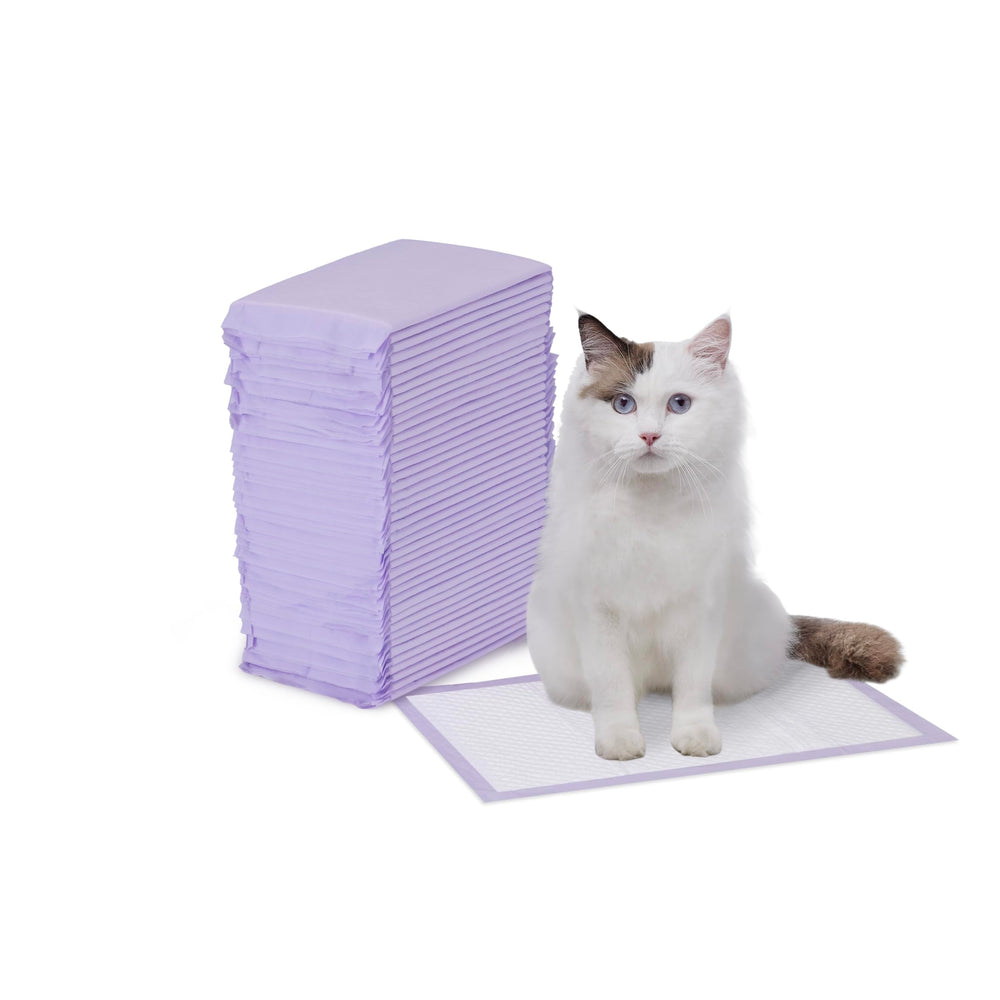 Amazon Basics Cat Litter Pads: empaque-40-unidades, ideal para areneros y limpieza rápida.