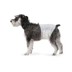 Pañales para perro macho de Amazon Basics, empaque de 50 unidades, absorción confiable.
