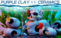 Ameliade cueva oculta acuario, espacio de refugio para reproducción