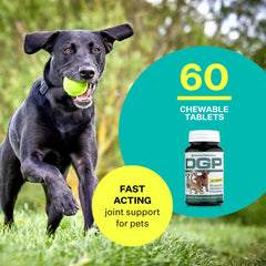 American BioSciences DGP, ingredientes cúrcuma y boswellia, apoyo natural para articulaciones.