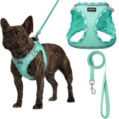 AMTOR arnes para perro pequeño con correa verde, ideal para paseos sin tirones