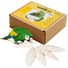 Amzey cuttlebone para aves de 4-6 pulgadas, secado al sol, calcio natural para huesos sanos.
