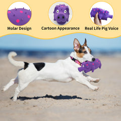 Andiker juguete para perro látex con puntas dentales para limpieza suave.