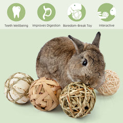 andwe bolas masticables para chinchillas, promueven masticación segura
