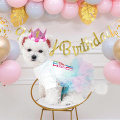 ANIAC corona rosada con piedras brillantes, complemento festivo para la mascota