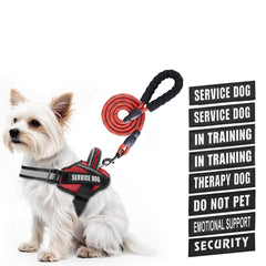 Animire arnés de servicio para perro con parches, señalización y beneficios de personalización.