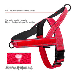 Arnés Annchwool con ajuste rápido en talla M para adaptarlo al perro.
