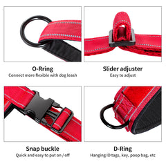 Arnés Annchwool con dos anillos para enganchar la correa y accesorios fácilmente.
