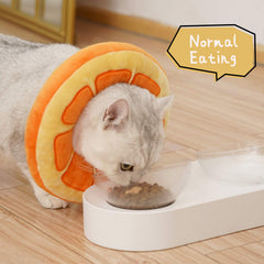 ANWA collar cono para gato: visión clara, comer y jugar sin interrupciones